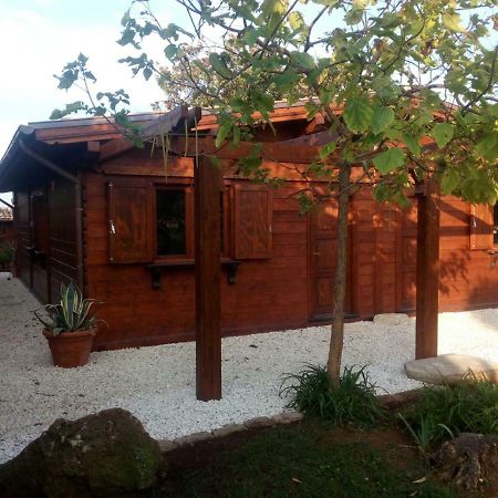 Il Casale Di Rosaria Ξενοδοχείο Zagarolo Εξωτερικό φωτογραφία