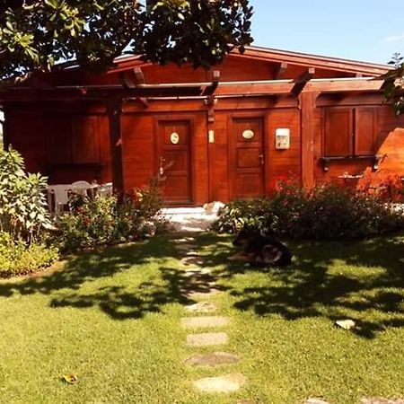 Il Casale Di Rosaria Ξενοδοχείο Zagarolo Εξωτερικό φωτογραφία