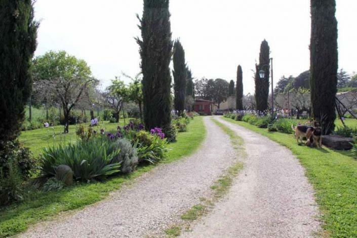 Il Casale Di Rosaria Ξενοδοχείο Zagarolo Εξωτερικό φωτογραφία